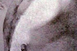 Atelier : autours du modèle vivant