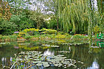 jardin eau Claude Monet