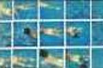david hockney polariod