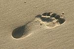 empriente pieds