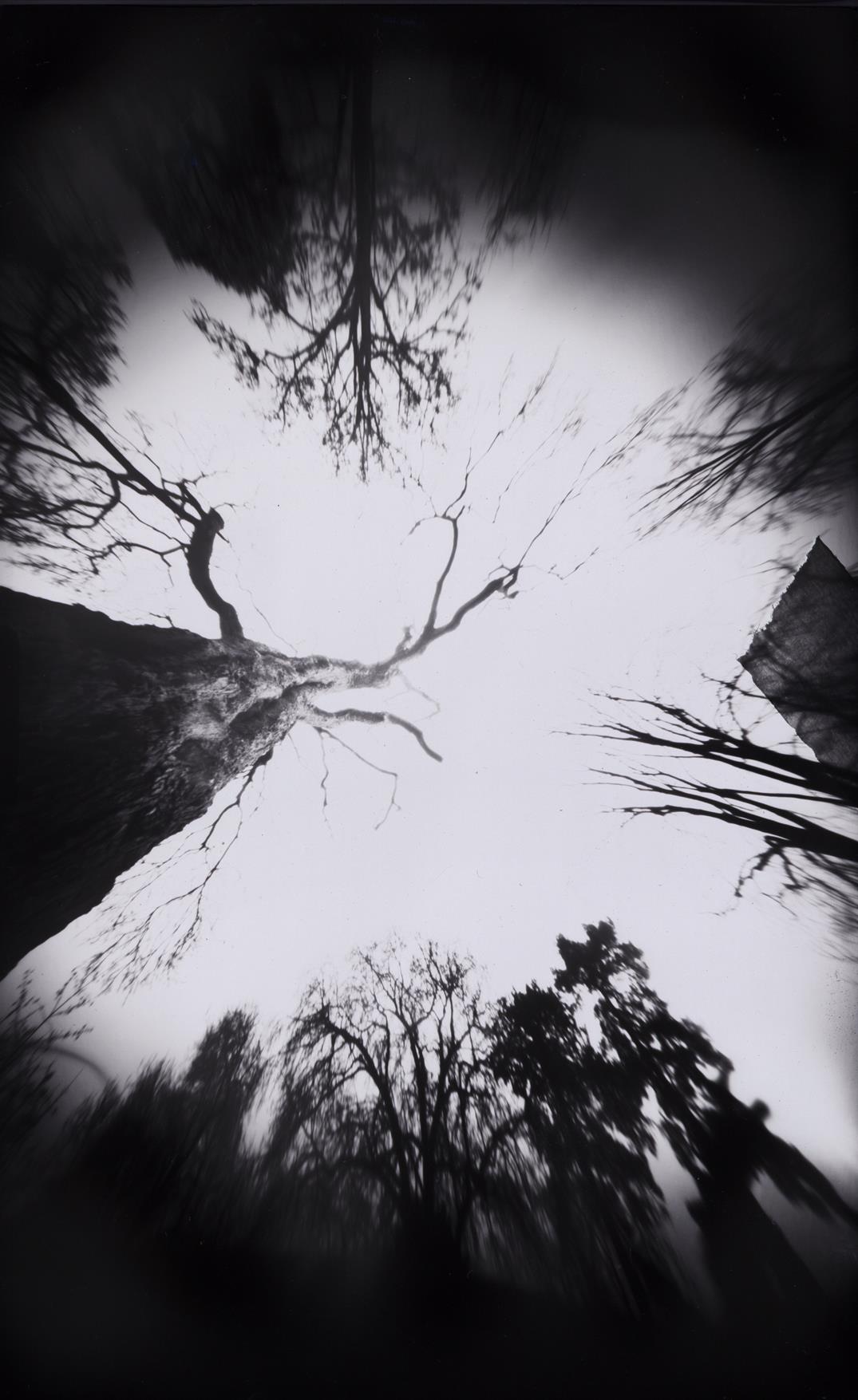 Ecole d arts plastiques stenope photographie d eleves d une classe de 3e du College Gustave Monod Classe a PAC menee par Mirela Popa