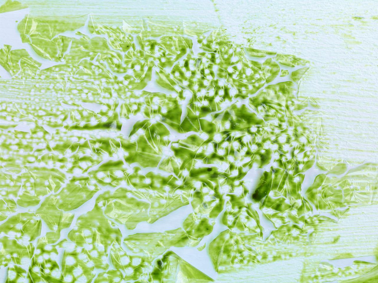 Michel Blazy mur de pellicules vert 2008 eau agar agar colorant alimentaire collection MAC VAL Photo Marc Domage Adagp Paris 2016