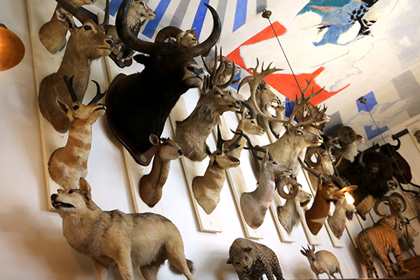 Musee de la chasse et de la nature