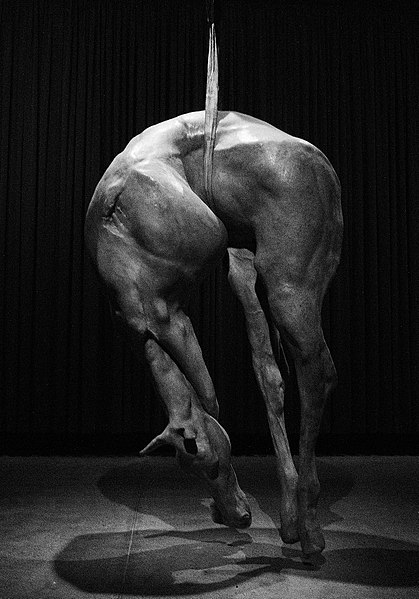 PXIII par Berlinde De Bruyckere MONA Hobart Tasmania Australia