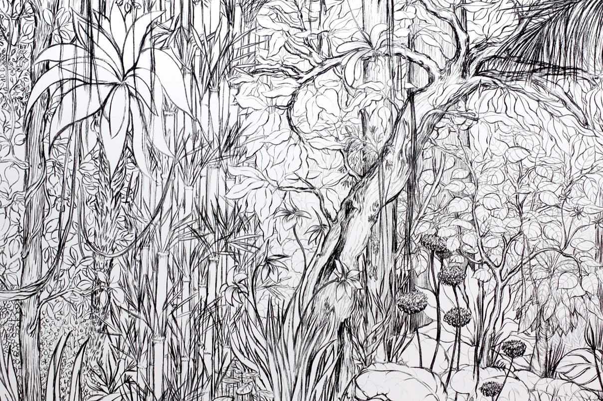 Stephanie Nava La luxuriance sauvage de leurs ramifications la jungle fusain dimensions variables 2013-2016. courtesy Galleria Riccardo Crespi Milan Stephanie Nava adagp.