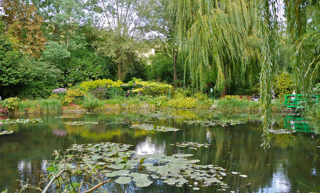 jardin eau Claude Monet