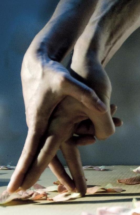 Entrezdansladanse2016 DR