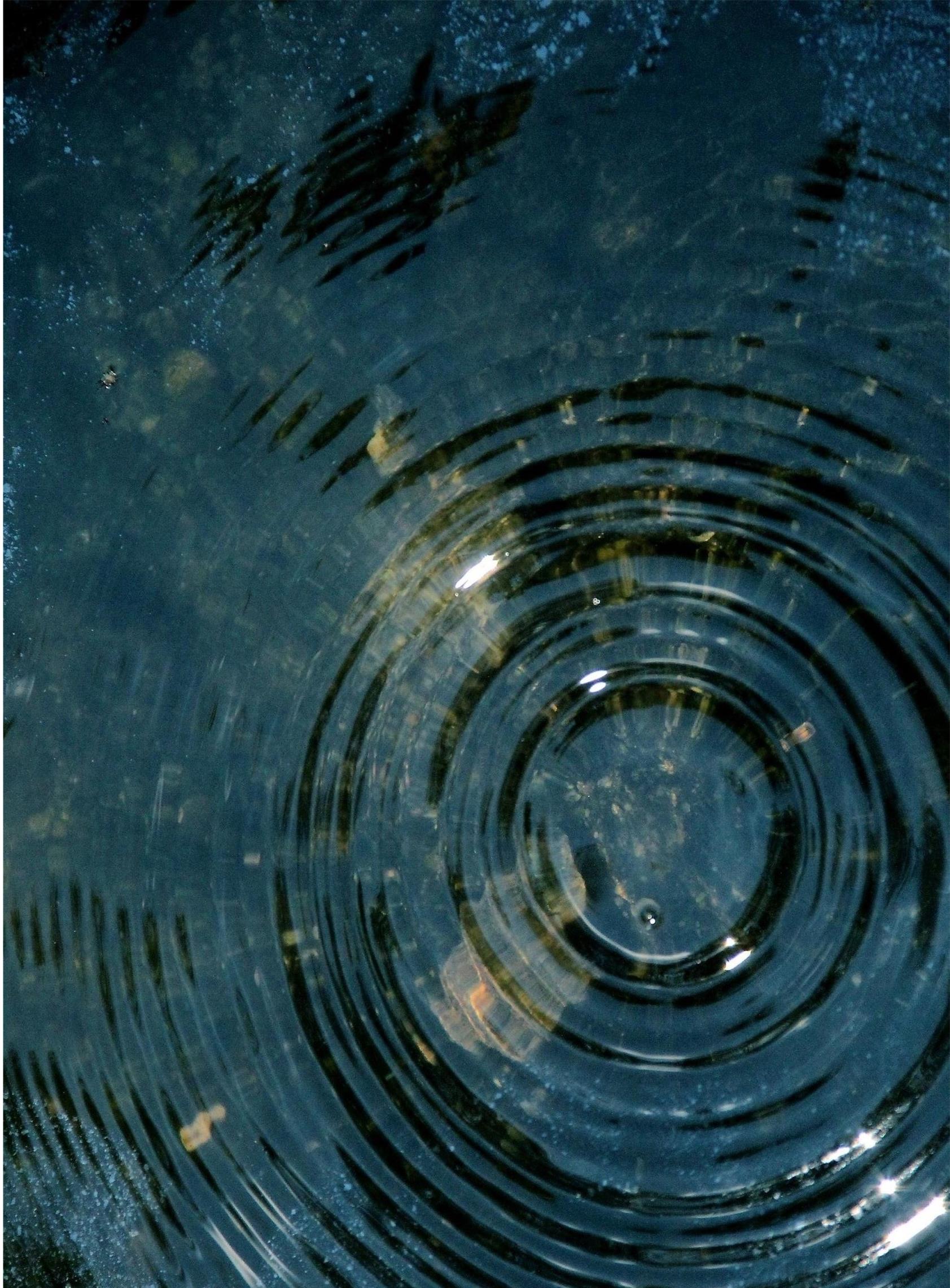 Catherine Grenouillat