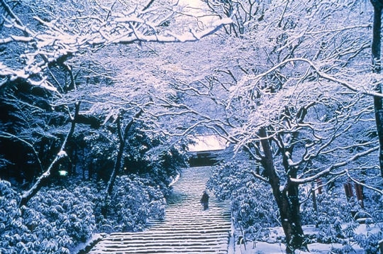 Nara Prefecture JNTO