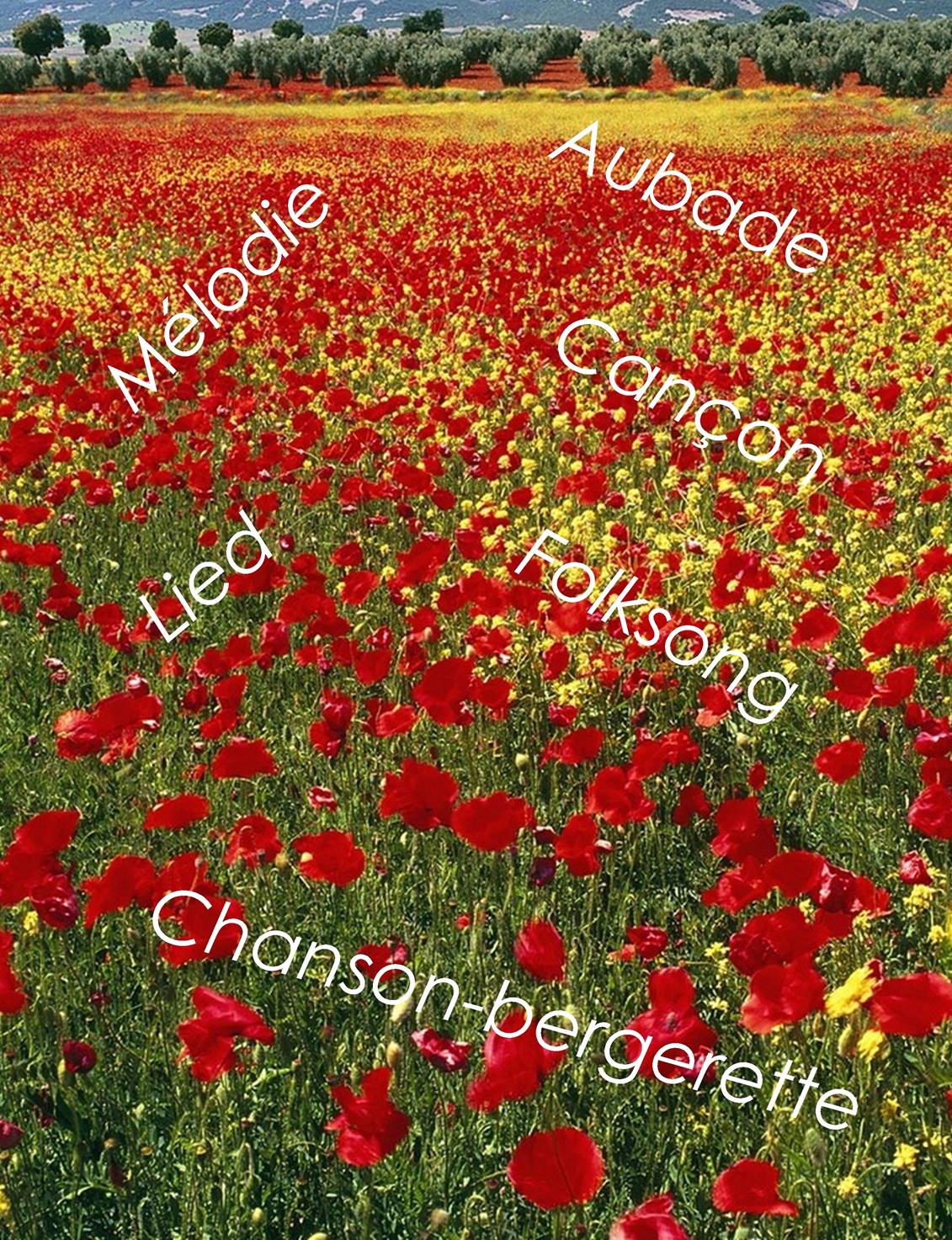 passerelles Dorothee